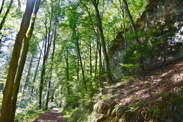 Kopstal est une commune bucolique