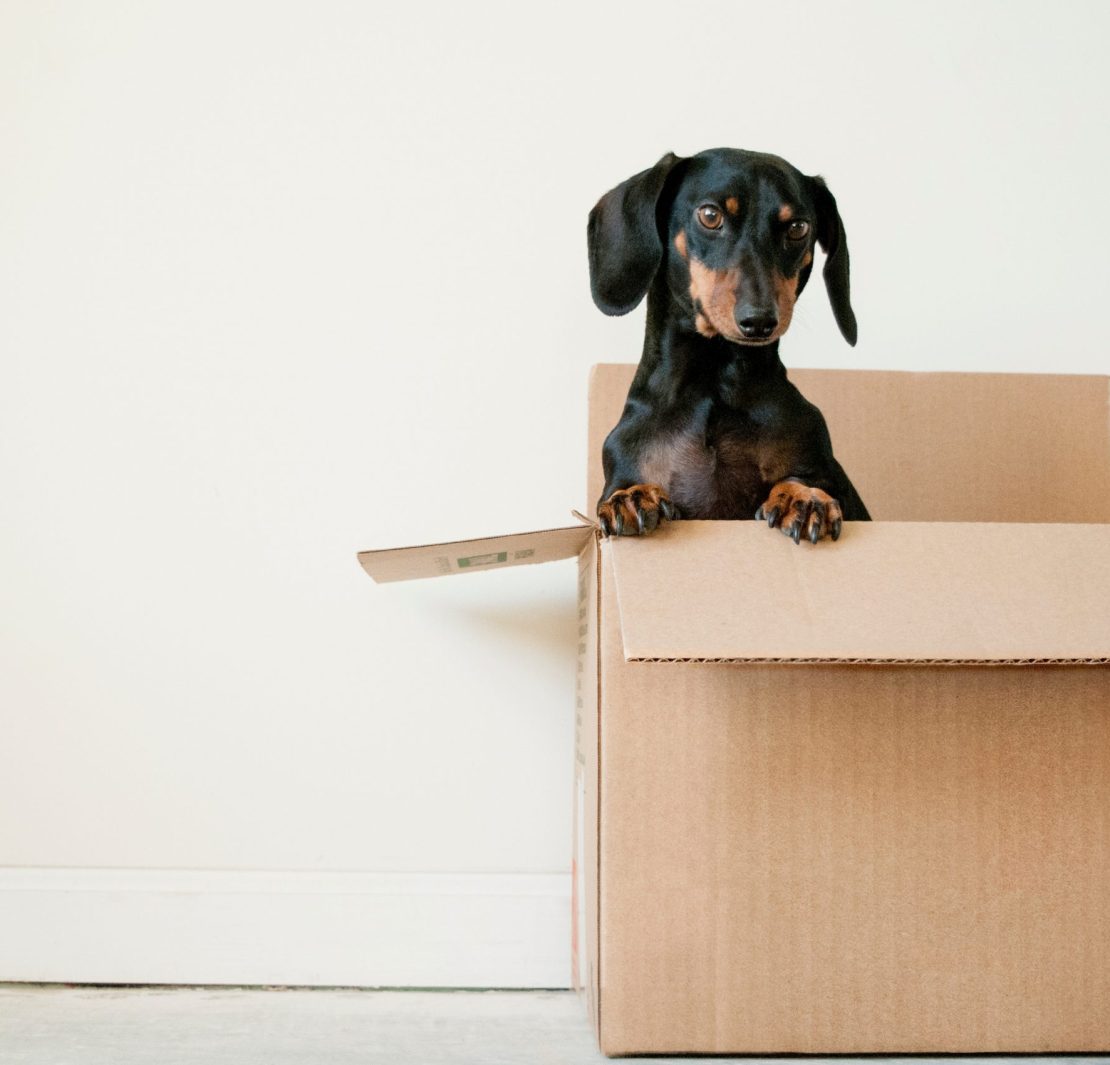 vendre sa maison principale