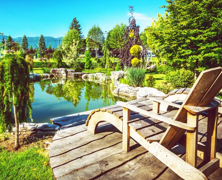 bassin ornemental poissons chaise longue